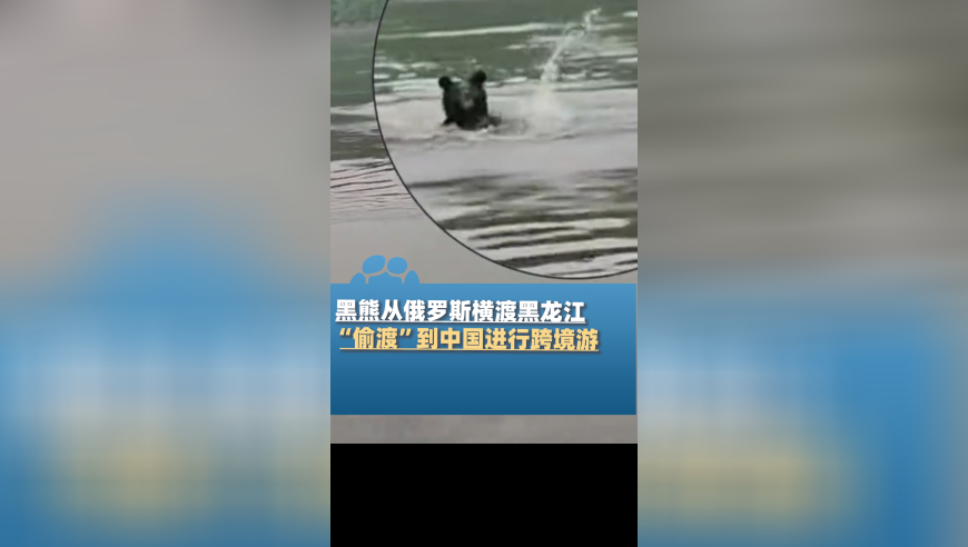 网贷借款1560元17天利息13764元,马会传真132688cc论坛香港,最佳精选解释落实_正式版V2.20